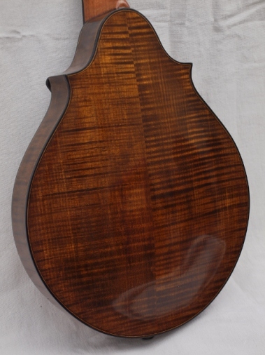 Classical mandolin back