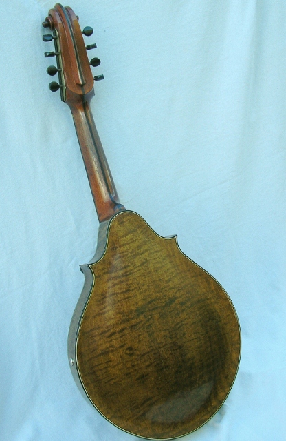 Lyon and Healy mandolin back