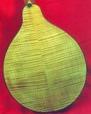 Bigleaf Maple