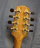 NSW Ironwood
