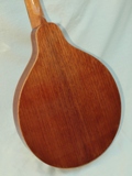 Australian Red Cedar
