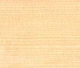 Red Spruce