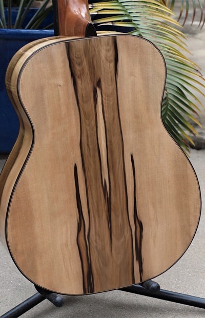 Black Heart Sassafras